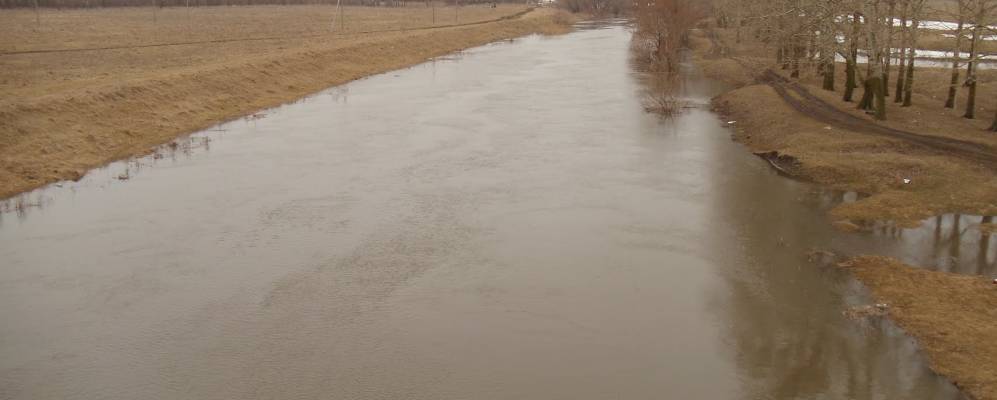 Фотография Хвостово