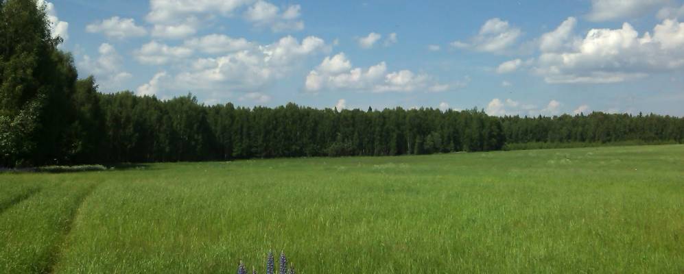 
            Фотография Доманино