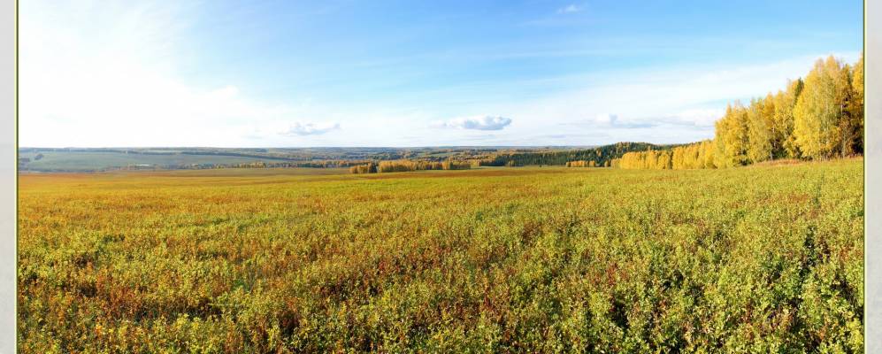 
            Фотография Опалихи