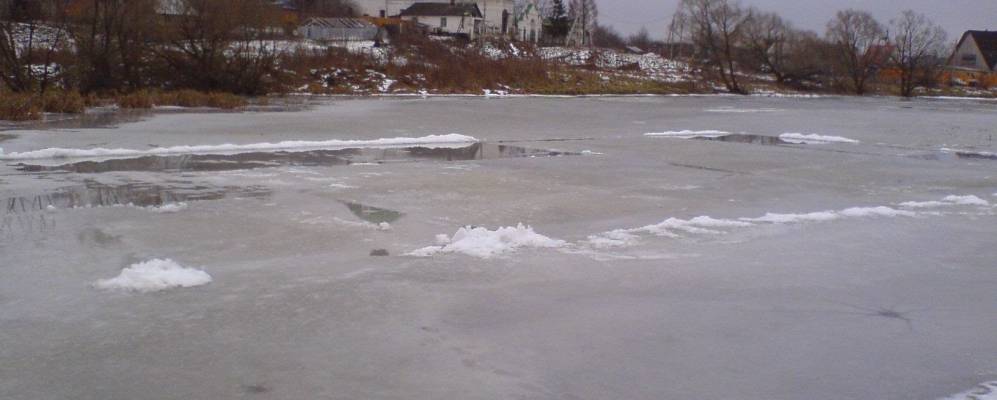 
            Фотография Шубино