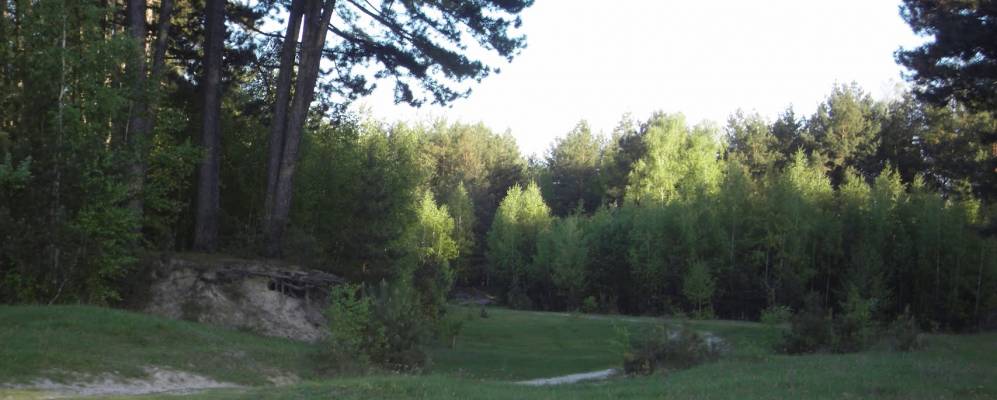 Фотография Шабалинова