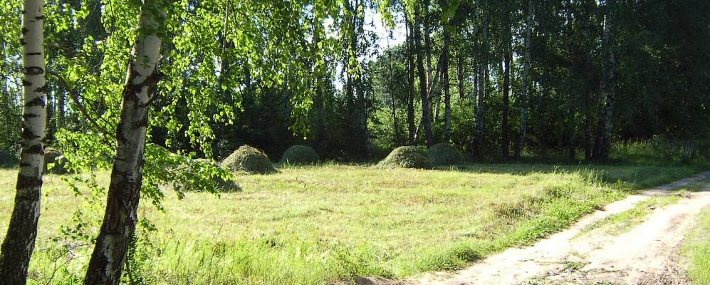 Фотография Макарово