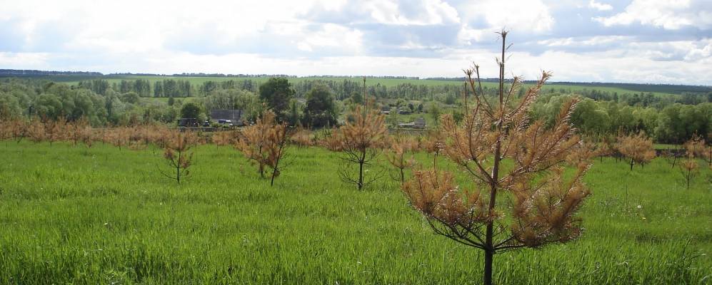 
            Фотография Бакеевского