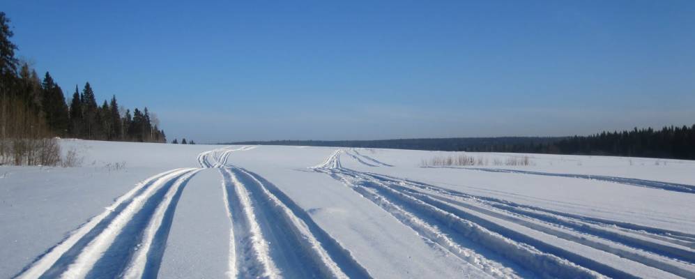 
            Фотография Софронов