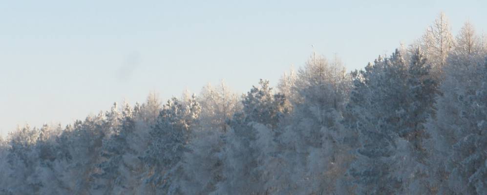 
            Фотография Рахматовы Поляны