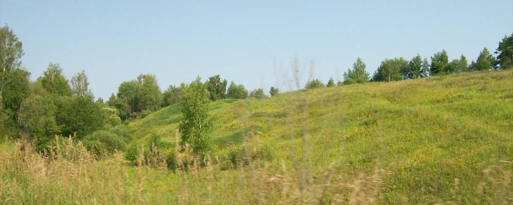 
            Фотография Коренёвки