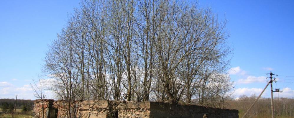 
            Фотография деревни Гузи