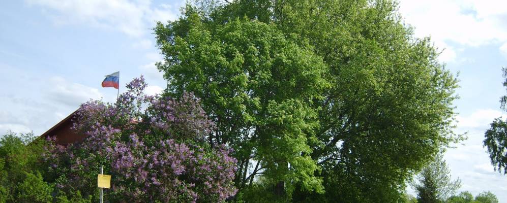 
            Фотография Пахомово