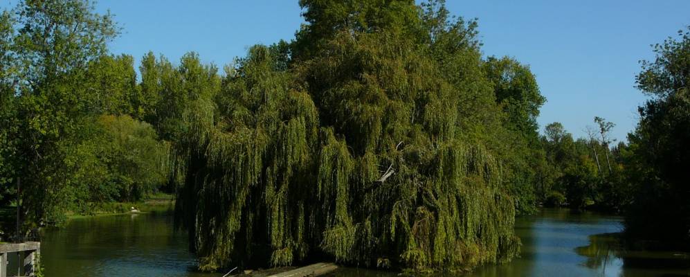 
            Фотография Артанн-сюр-Эндра