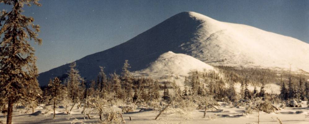 
            Фотография Участка Джеконды