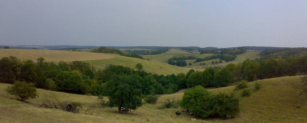 
            Фотография Яцюк