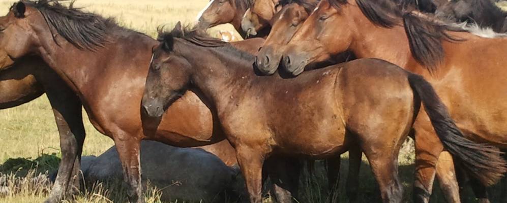 
            Фотография Ивановки