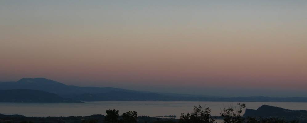 
            Фотография Мусколине