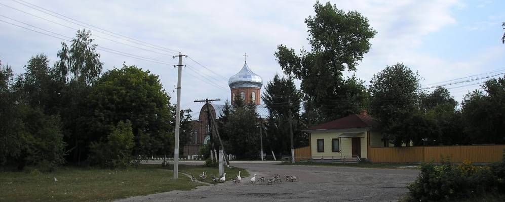 
            Фотография Берестовца