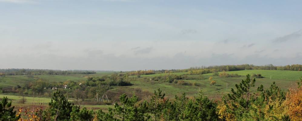 
            Фотография Ярка