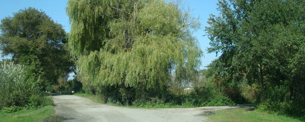 
            Фотография Груда