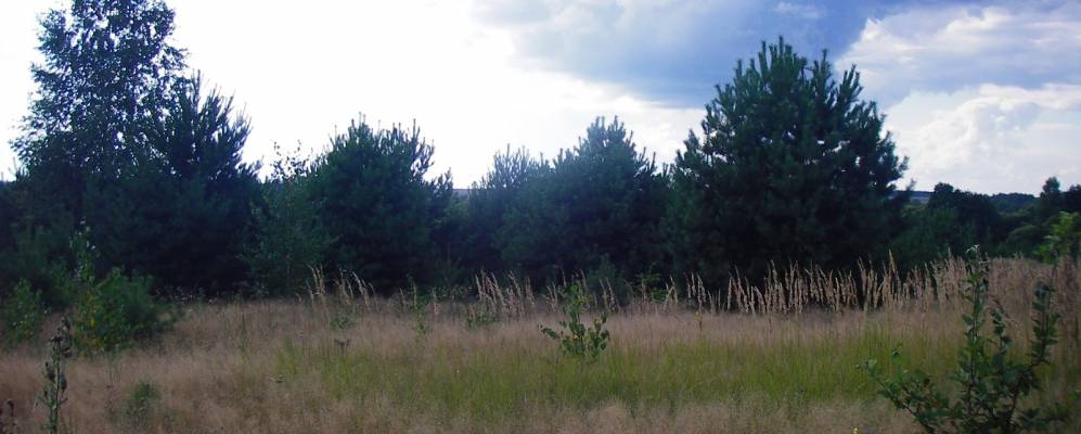 
            Фотография Каменки