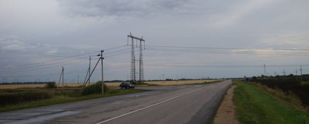 
            Фотография Яблонево