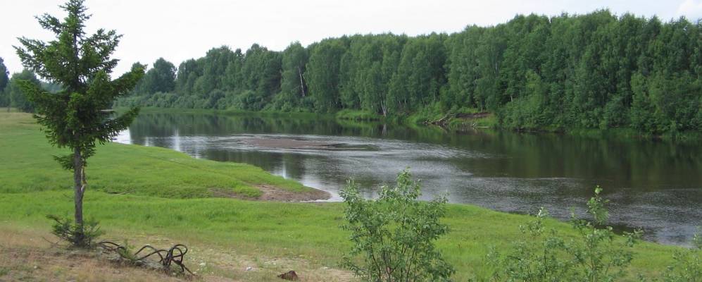 Фотография Дани