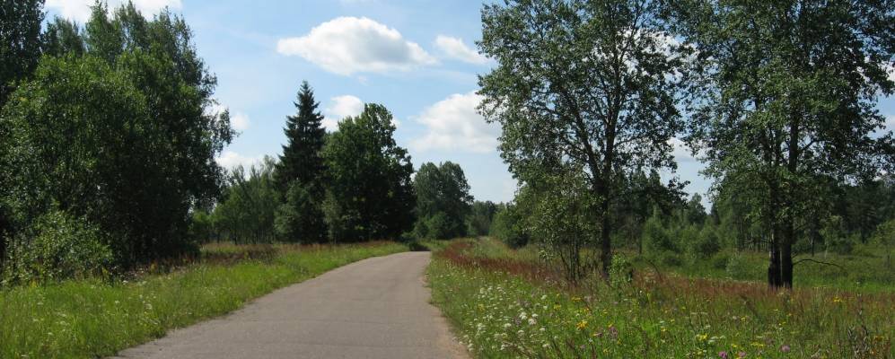 озеро бурново невель. деревня васильки псковская область невельский район. старомихайловка донецкая область на карте. деревня замошица пустошкинский район. невельское днр на карте донецка.