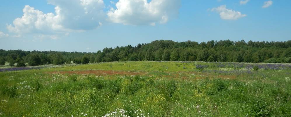 
            Фотография Вершинино