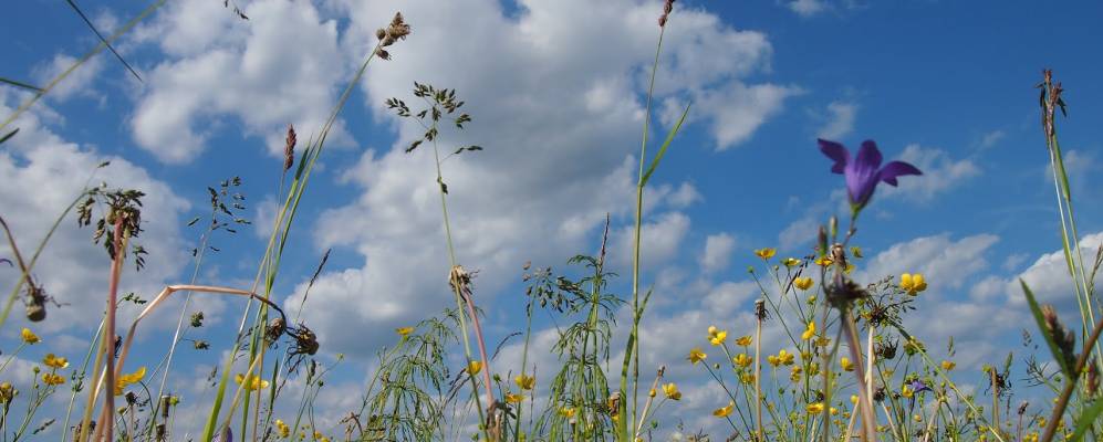 Фотография Пашни