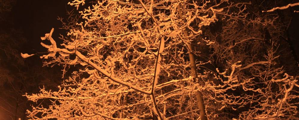 
            Фотография Судеб