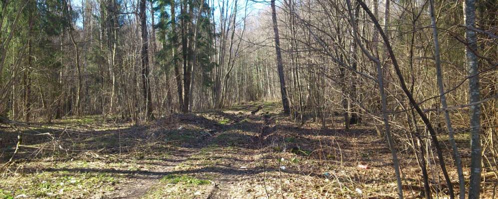 Фотография деревни Трыгубцы