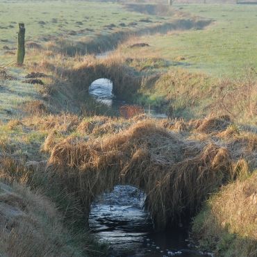 Нордерштедт