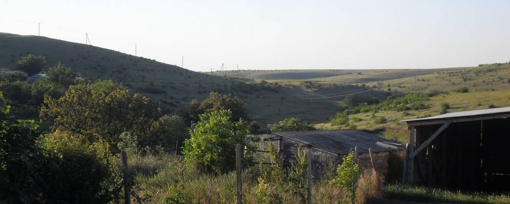 
            Фотография Маловидного