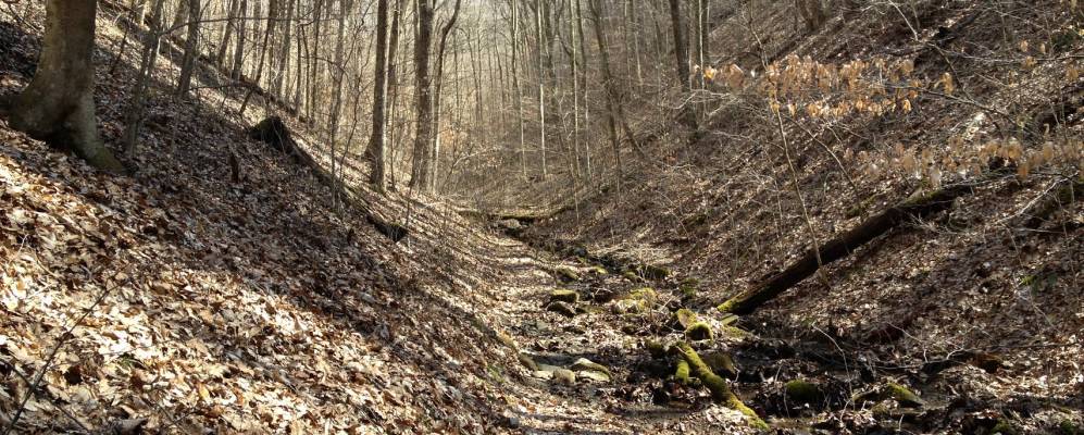 
            Фотография Волнат Хилла