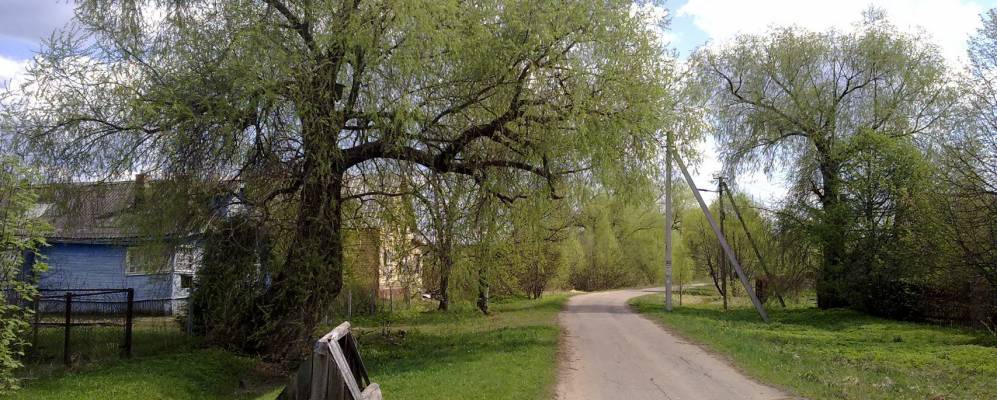 Фотография Вьюхово