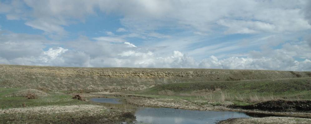 
            Фотография Степного