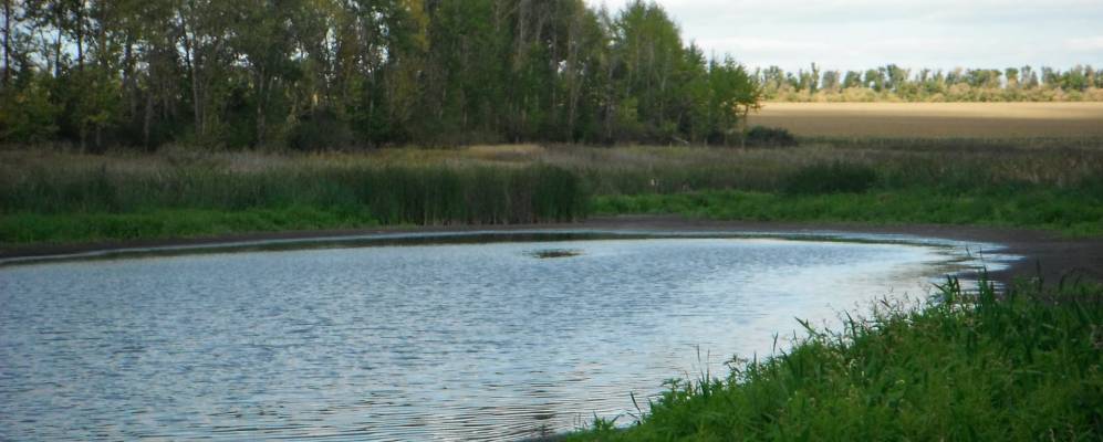 
            Фотография Ураево