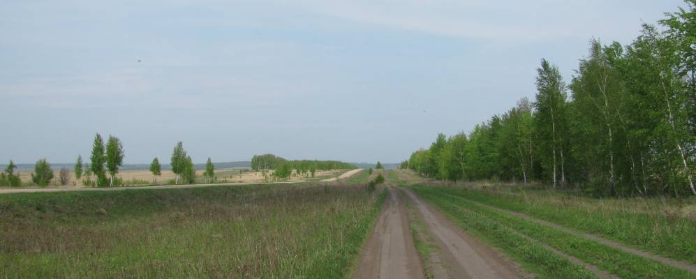 
            Фотография Покровского