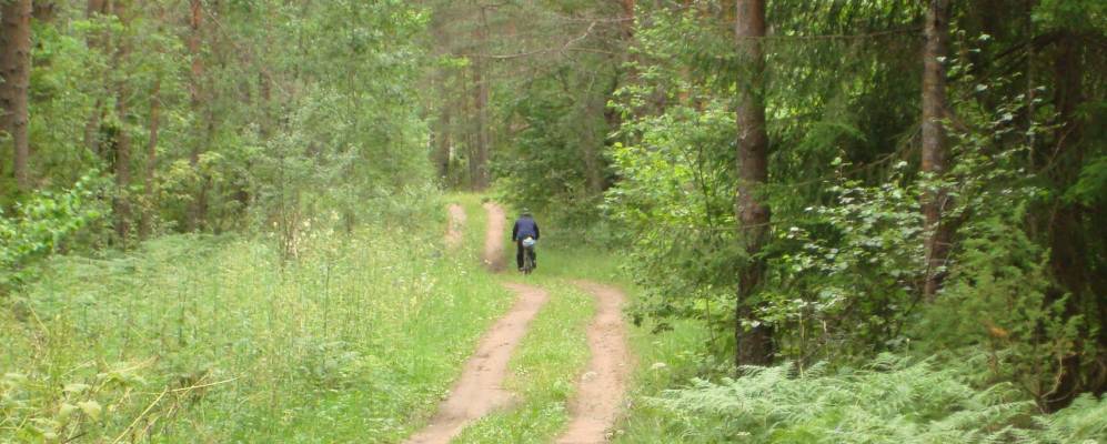 Фотография Галузино