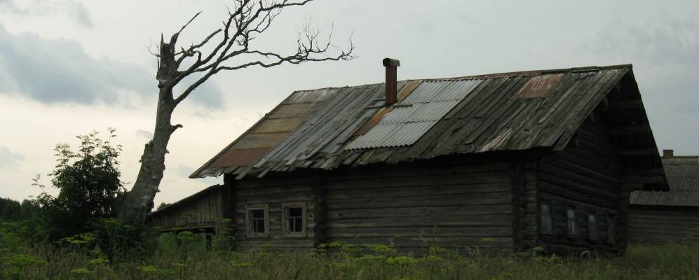 Фотография Казариновской