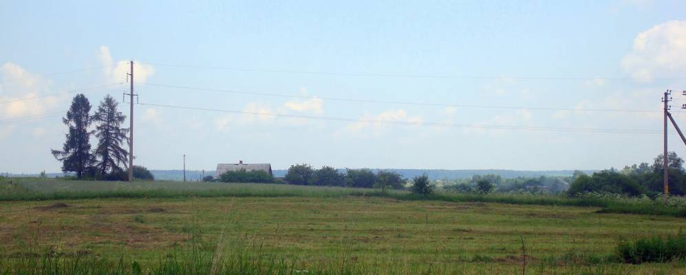 Фотография Боровых