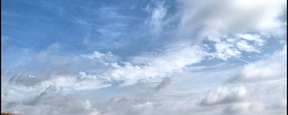 Фотография Шевырталово