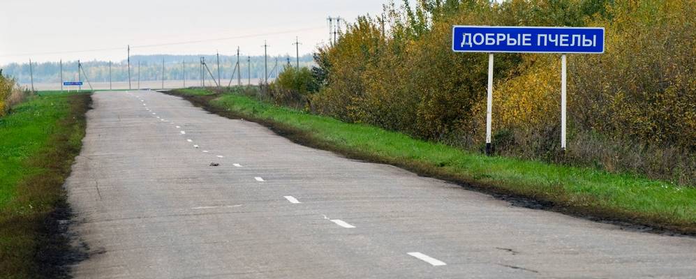 
            Фотография Добрых Пчел