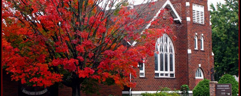 
            Фотография Амерай