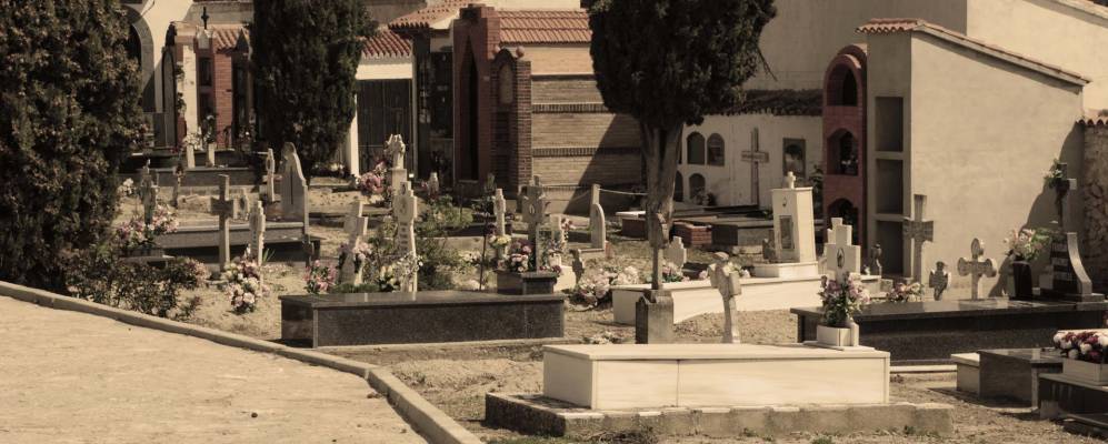 
            Фотография Ландете