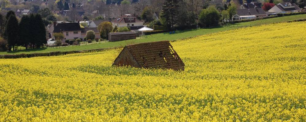 
            Фотография Рингтона