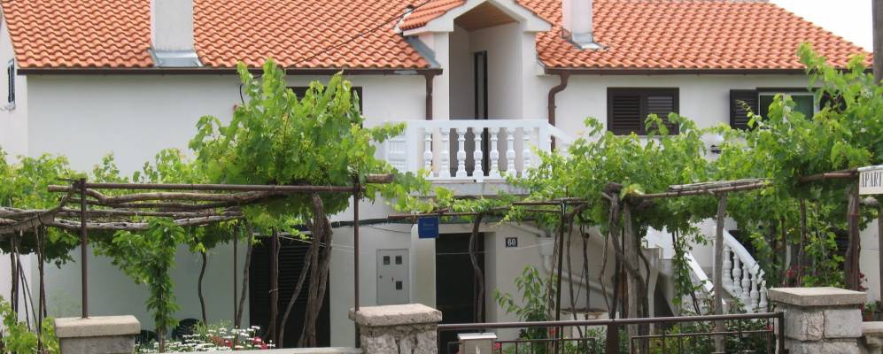 
            Фотография Рисика