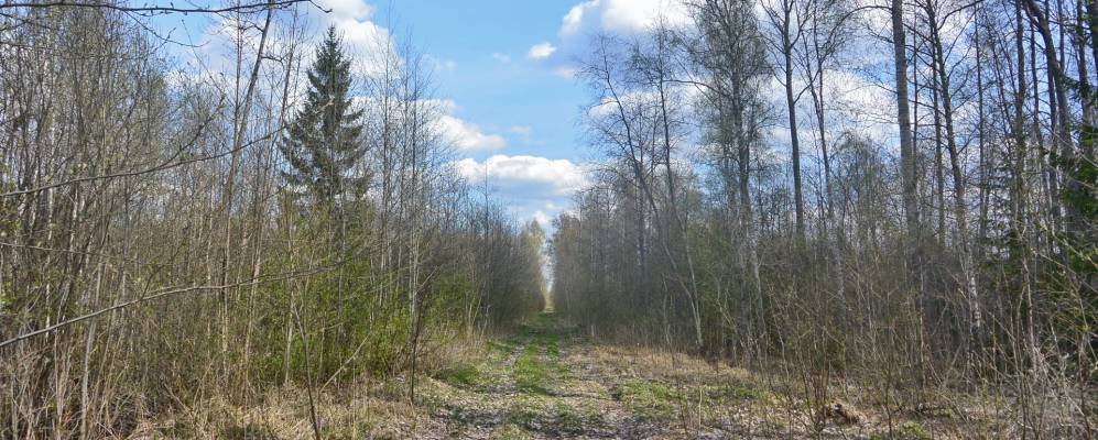 
            Фотография деревни Конечки