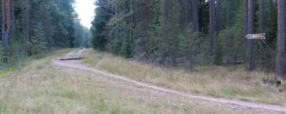 
            Фотография урочища Верхние Никулясы