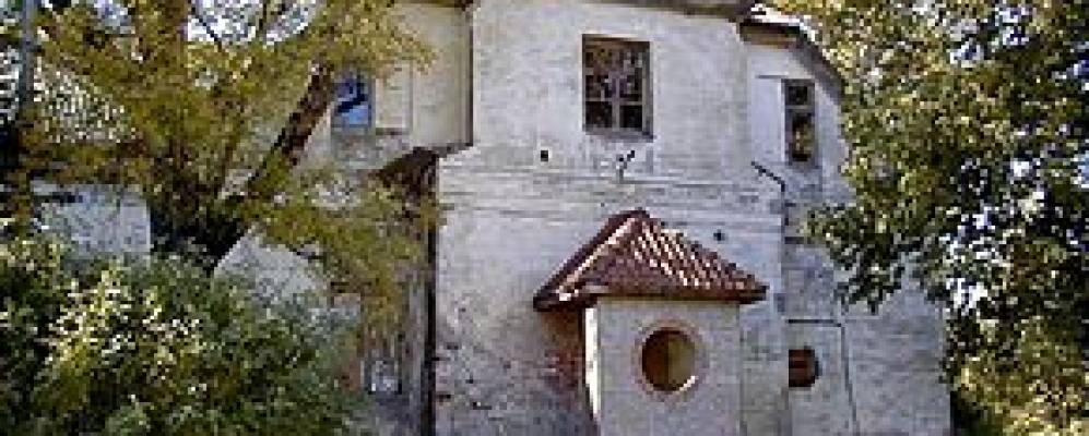 Фотография Анце