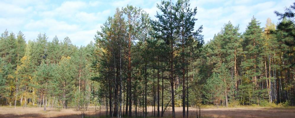 
            Фотография Александровки