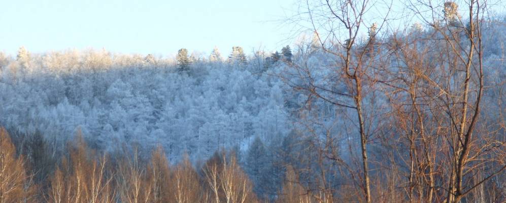 
            Фотография При станции Ударный