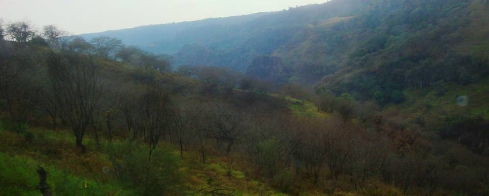 
            Фотография Альто Тио Диего